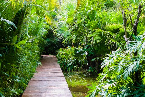 Dreams Tulum Resort & Spa: Perfect Place For A Mom’s Escape