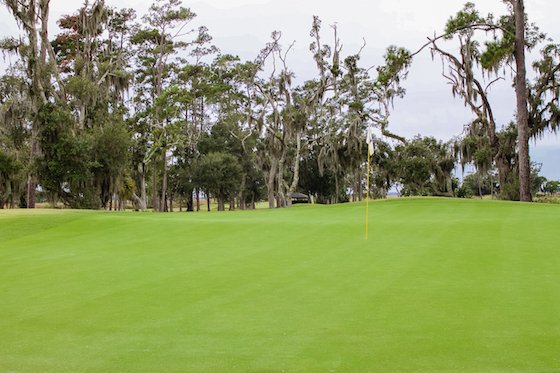 Winter Romance At The Beach: St. Simons Island, Ga Featuring The Kind And Prince Beach Golf Resort