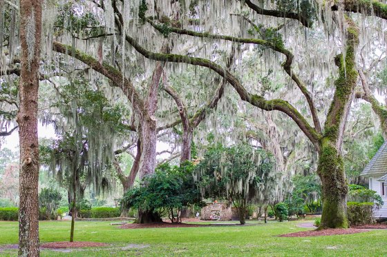 Winter Romance At The Beach: St. Simons Island, Ga Featuring The Kind And Prince Beach Golf Resort