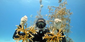 Family Vacation to Marathon, Florida Family Vacation To Marathon, Florida