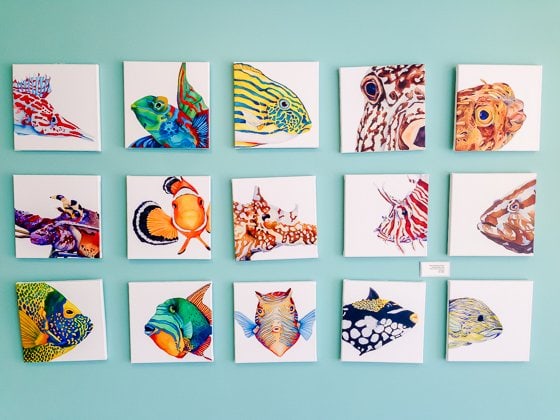 Family Vacation To Marathon, Florida