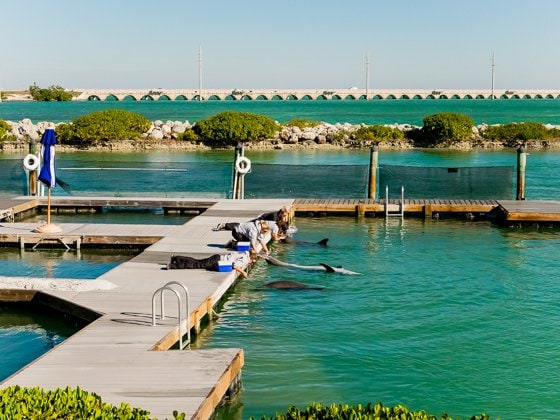 Family Vacation To Marathon, Florida