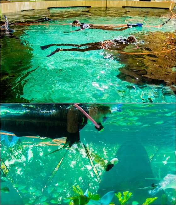 Family Vacation To Marathon, Florida