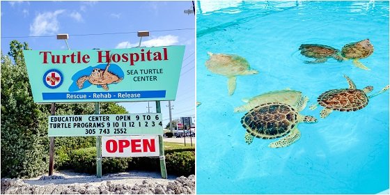 Family Vacation To Marathon, Florida