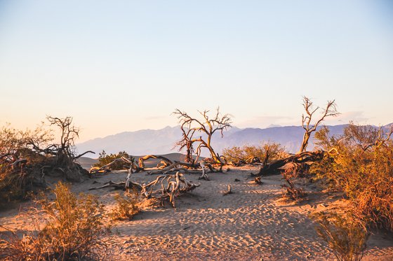 11 Photos That Will Make You Want To Visit Death Valley 11 Photos That Will Make You Want To Visit Death Valley