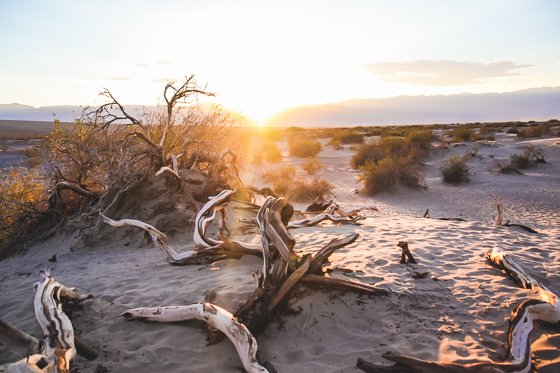 11 Photos That Will Make You Want To Visit Death Valley 11 Photos That Will Make You Want To Visit Death Valley