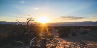 Road Trip Guide: 5 Days on the Dark Side of California Road Trip Guide: 5 Days On The Dark Side Of California