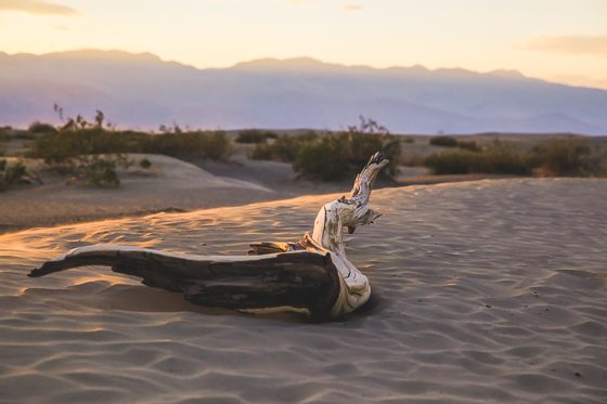 Road Trip Guide: 5 Days On The Dark Side Of California Road Trip Guide: 5 Days On The Dark Side Of California