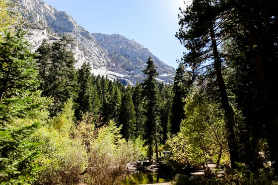 Road Trip Guide: 5 Days On The Dark Side Of California Road Trip Guide: 5 Days On The Dark Side Of California