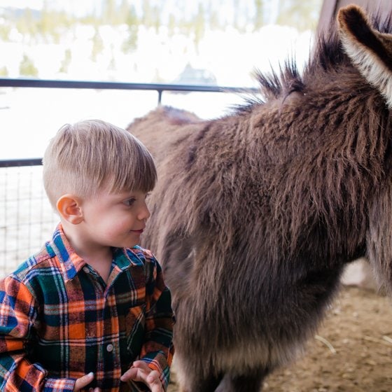 Family Fun Weekend Guide To Winter Park, Colorado Family Fun Weekend Guide To Winter Park, Colorado