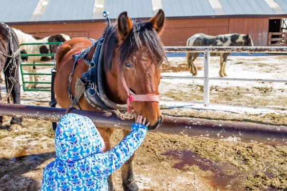 Family Fun Weekend Guide To Winter Park, Colorado Family Fun Weekend Guide To Winter Park, Colorado