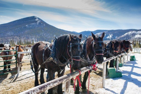 Family Fun Weekend Guide To Winter Park, Colorado Family Fun Weekend Guide To Winter Park, Colorado