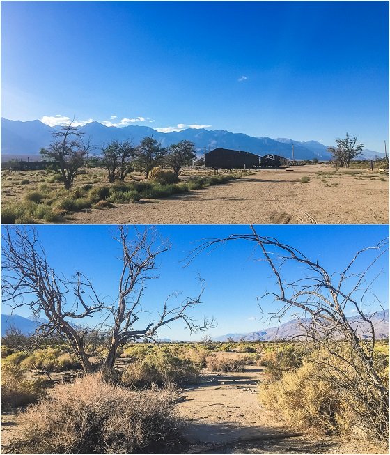 Road Trip Guide: 5 Days On The Dark Side Of California Road Trip Guide: 5 Days On The Dark Side Of California