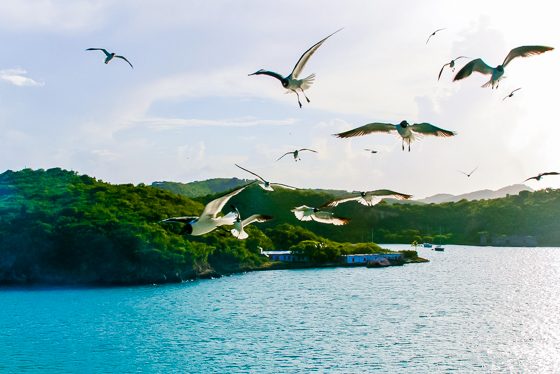 Everything You Must See On An Eastern Caribbean Cruise