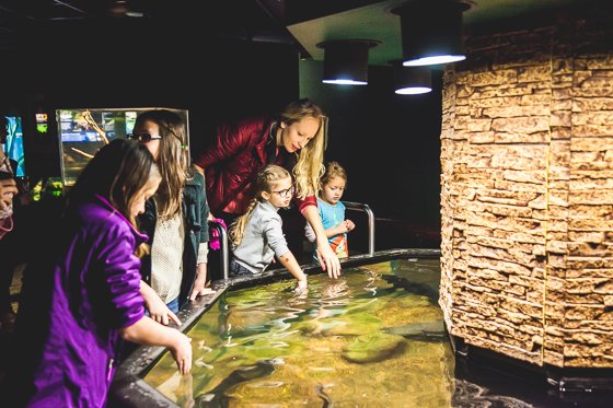 Top Tips For Planning Vacations With Kids