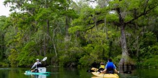 Family Time in Tallahassee Family Time In Tallahassee