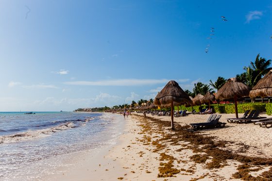 Ocean Coral Turquesa By H10: A Remarkable Resort In Riviera Maya Ocean Coral Turquesa By H10: A Remarkable Resort In Riviera Maya