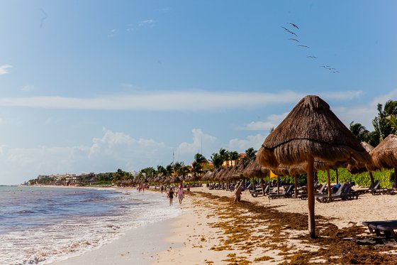 Ocean Coral Turquesa By H10: A Remarkable Resort In Riviera Maya