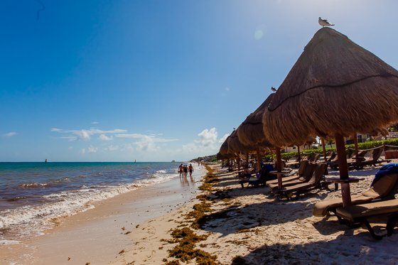 Ocean Coral Turquesa By H10: A Remarkable Resort In Riviera Maya