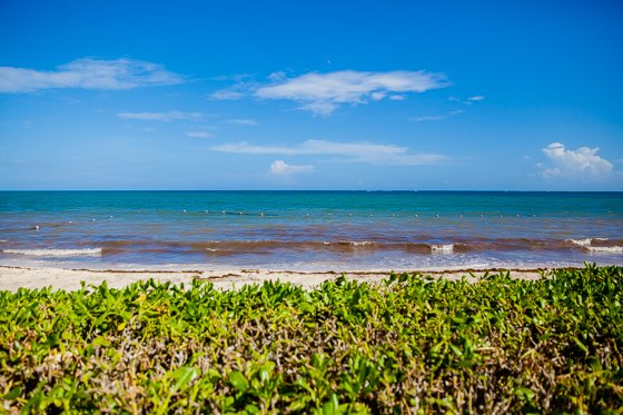 Ocean Coral Turquesa By H10: A Remarkable Resort In Riviera Maya