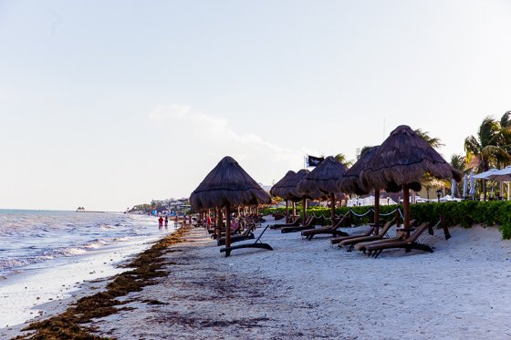 Ocean Coral Turquesa By H10: A Remarkable Resort In Riviera Maya