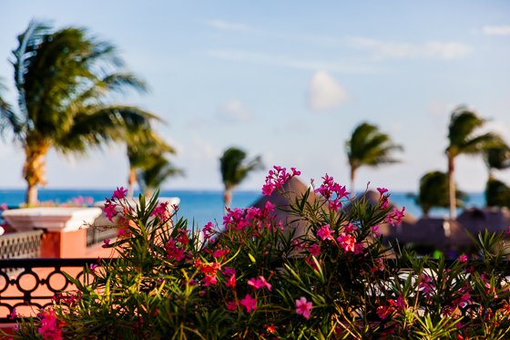 Ocean Coral Turquesa By H10: A Remarkable Resort In Riviera Maya
