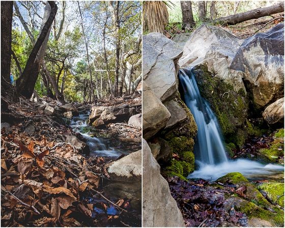 5 Days In Southwestern Arizona 5 Days In Southwestern Arizona