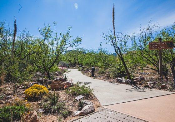 5 Days In Southwestern Arizona 5 Days In Southwestern Arizona