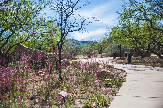 5 Days In Southwestern Arizona 5 Days In Southwestern Arizona