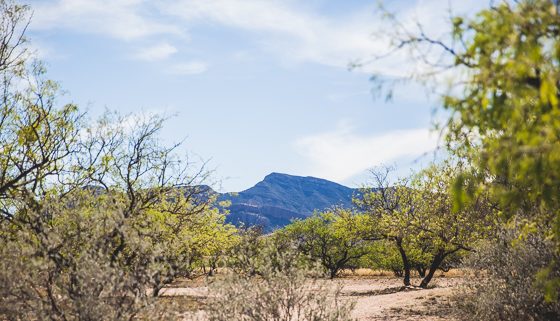 5 Days In Southwestern Arizona 5 Days In Southwestern Arizona