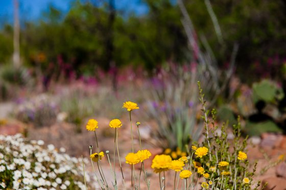 5 Days In Southwestern Arizona 5 Days In Southwestern Arizona
