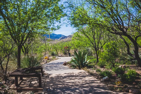5 Days In Southwestern Arizona 5 Days In Southwestern Arizona