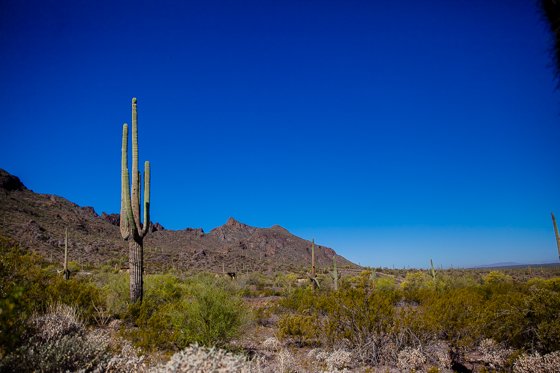 5 Days In Southwestern Arizona 5 Days In Southwestern Arizona