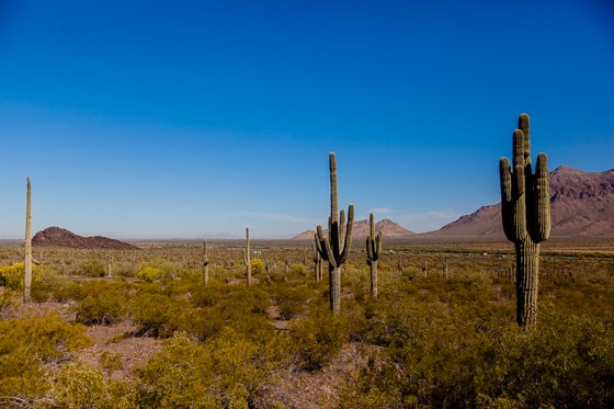 5 Days In Southwestern Arizona 5 Days In Southwestern Arizona