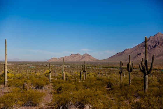 5 Days In Southwestern Arizona 5 Days In Southwestern Arizona