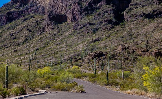 5 Days In Southwestern Arizona 5 Days In Southwestern Arizona