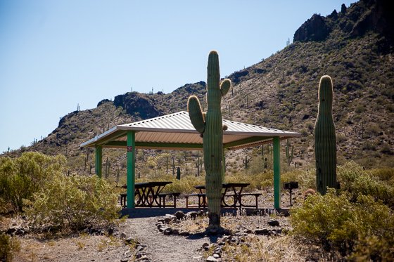 5 Days In Southwestern Arizona 5 Days In Southwestern Arizona