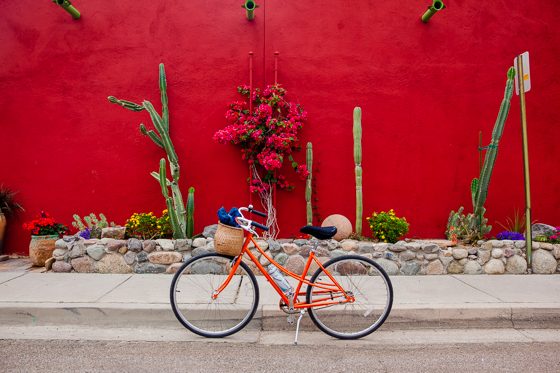 5 Days In Southwestern Arizona 5 Days In Southwestern Arizona