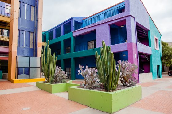 5 Days In Southwestern Arizona 5 Days In Southwestern Arizona