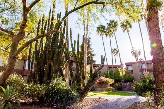 5 Days In Southwestern Arizona 5 Days In Southwestern Arizona