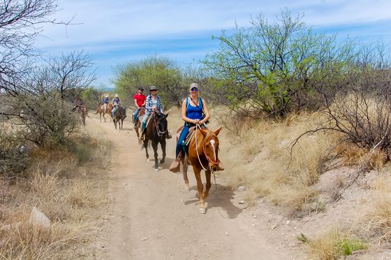 5 Days In Southwestern Arizona 5 Days In Southwestern Arizona
