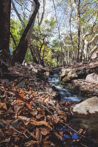 5 Days In Southwestern Arizona 5 Days In Southwestern Arizona