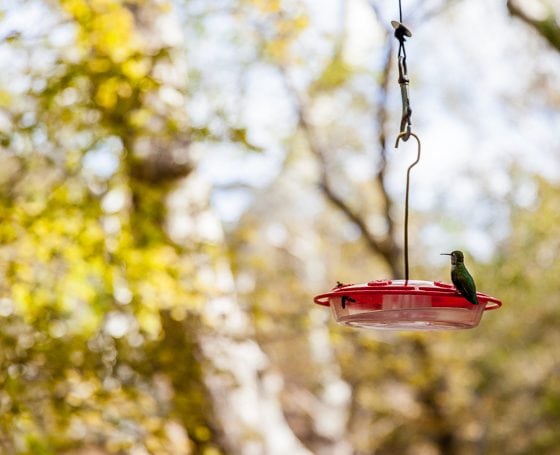 5 Days In Southwestern Arizona 5 Days In Southwestern Arizona