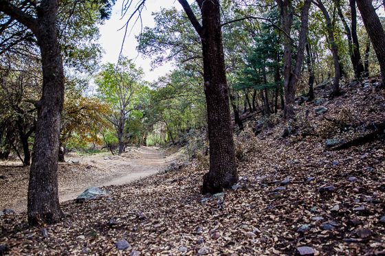 5 Days In Southwestern Arizona 5 Days In Southwestern Arizona