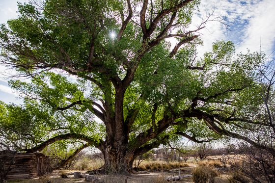 5 Days In Southwestern Arizona 5 Days In Southwestern Arizona