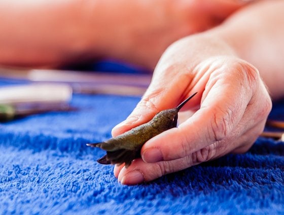 5 Days In Southwestern Arizona 5 Days In Southwestern Arizona