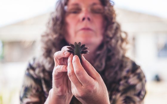 5 Days In Southwestern Arizona 5 Days In Southwestern Arizona