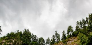 Traveling with Children to Portland for the Weekend How To Plan A Weekend Getaway