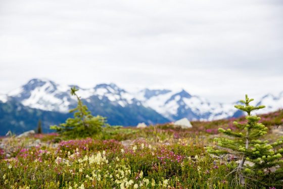 Gifting Unforgettable Experiences In Whistler Bc