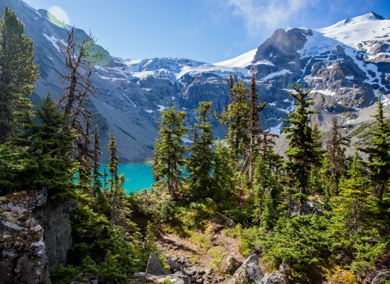 Gifting Unforgettable Experiences In Whistler Bc